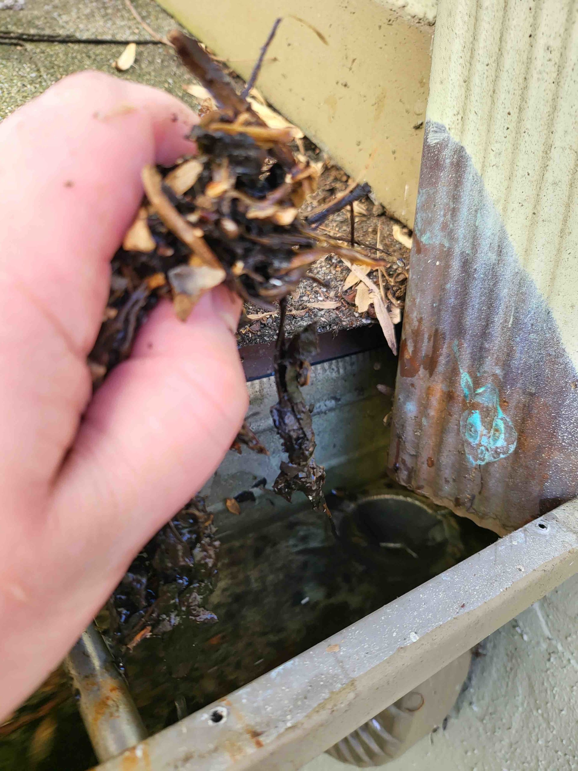 Gutter debris removal