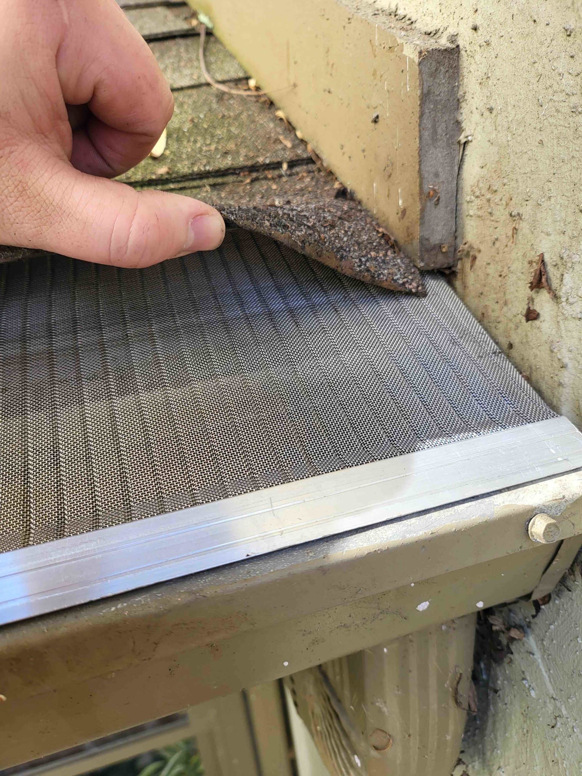 Gutter clean-out — Eastern Panhandle