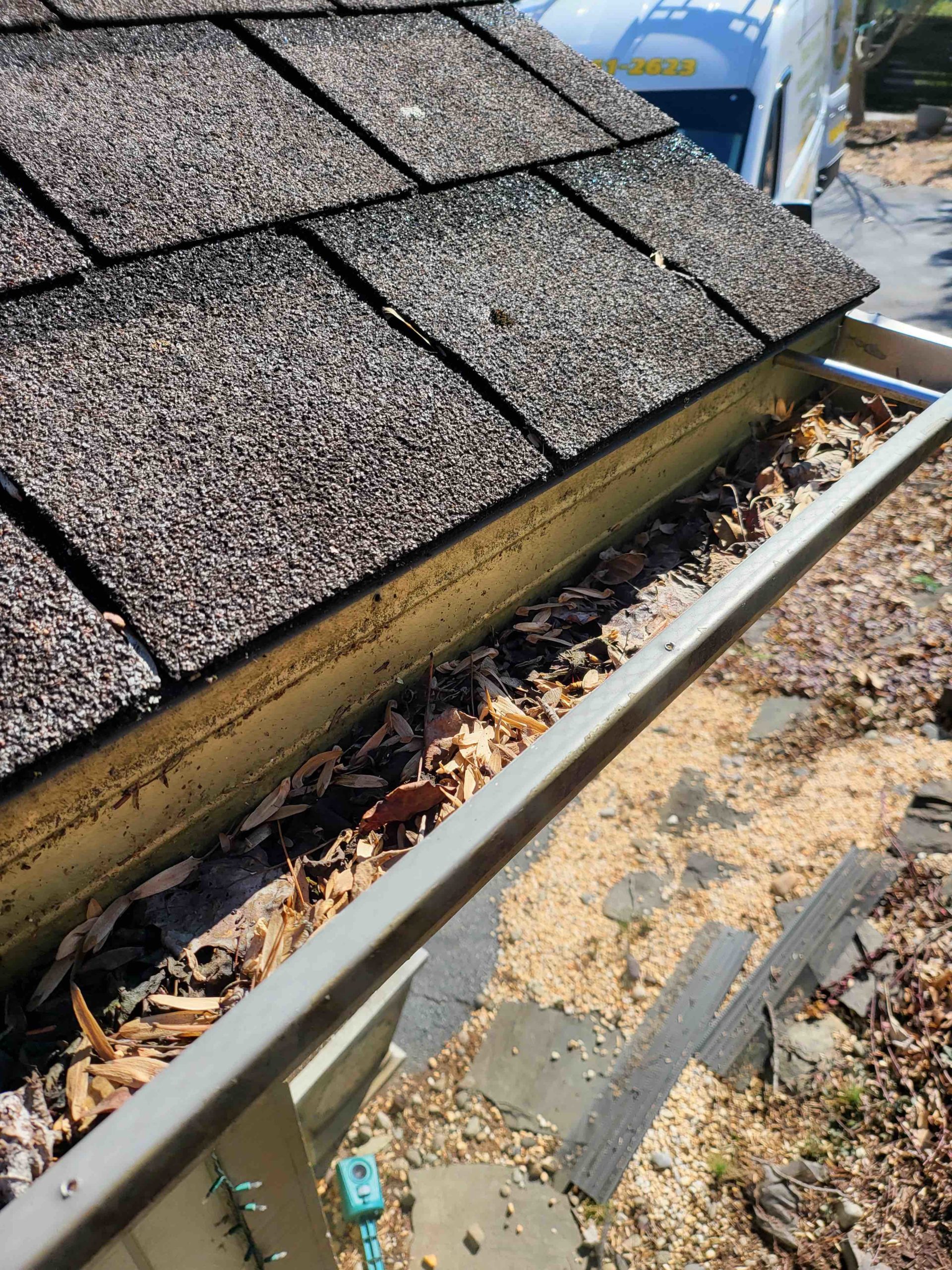 Downspout flushing