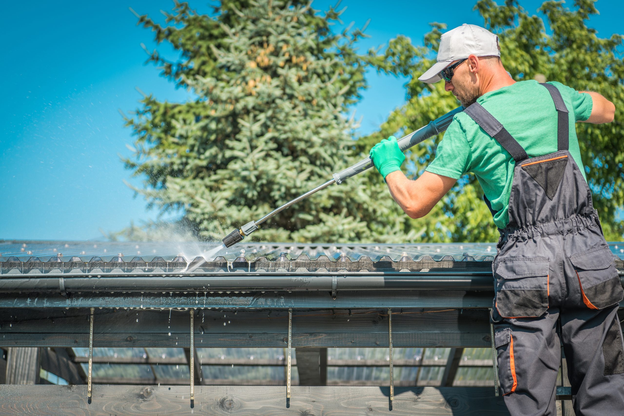 Roof & gutter soft wash