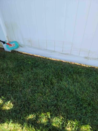Fence Washing Services